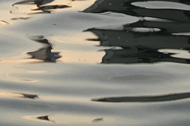 two_parts_water - Alte Donau