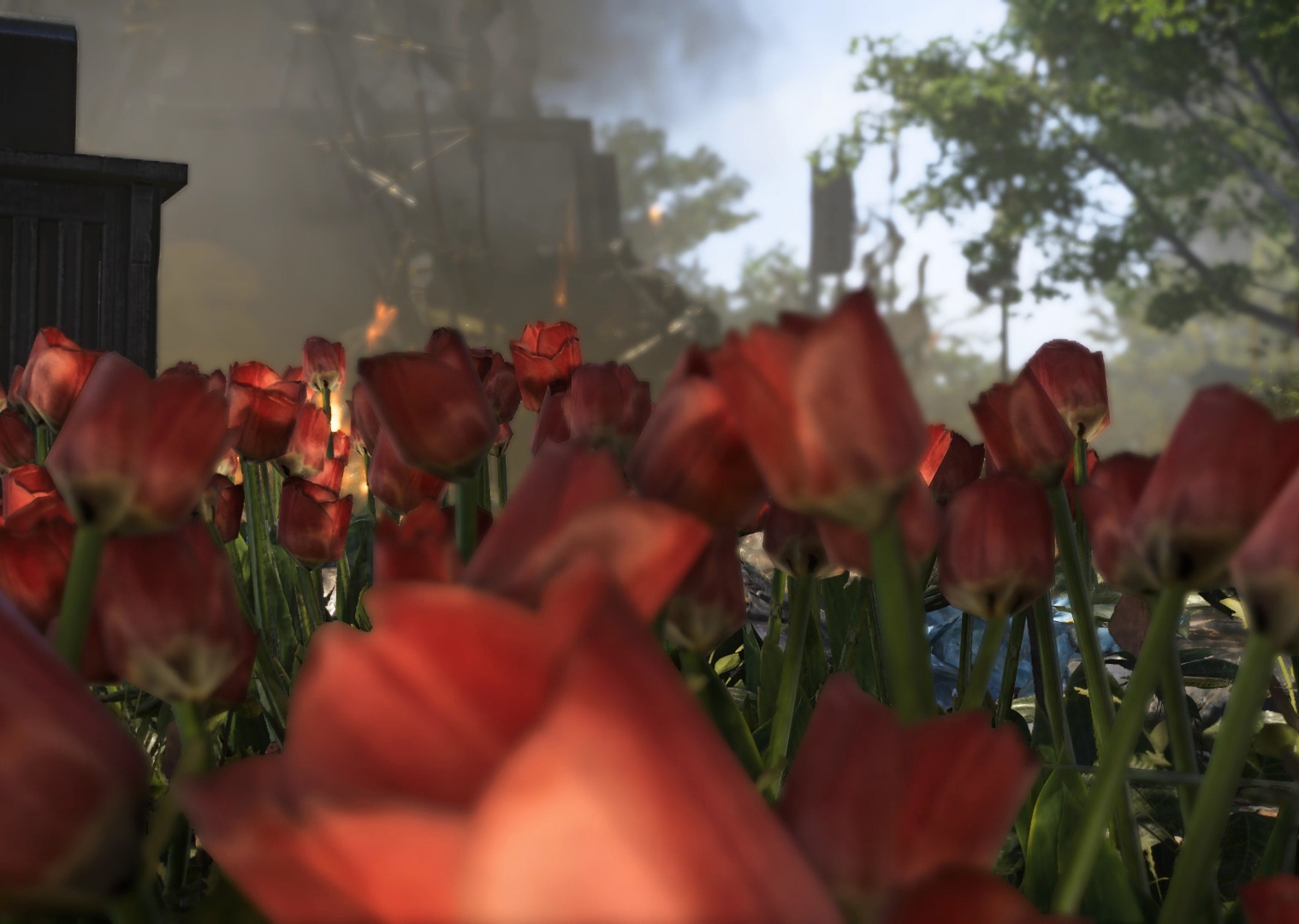 Spring Breack - Still, Total Refusal