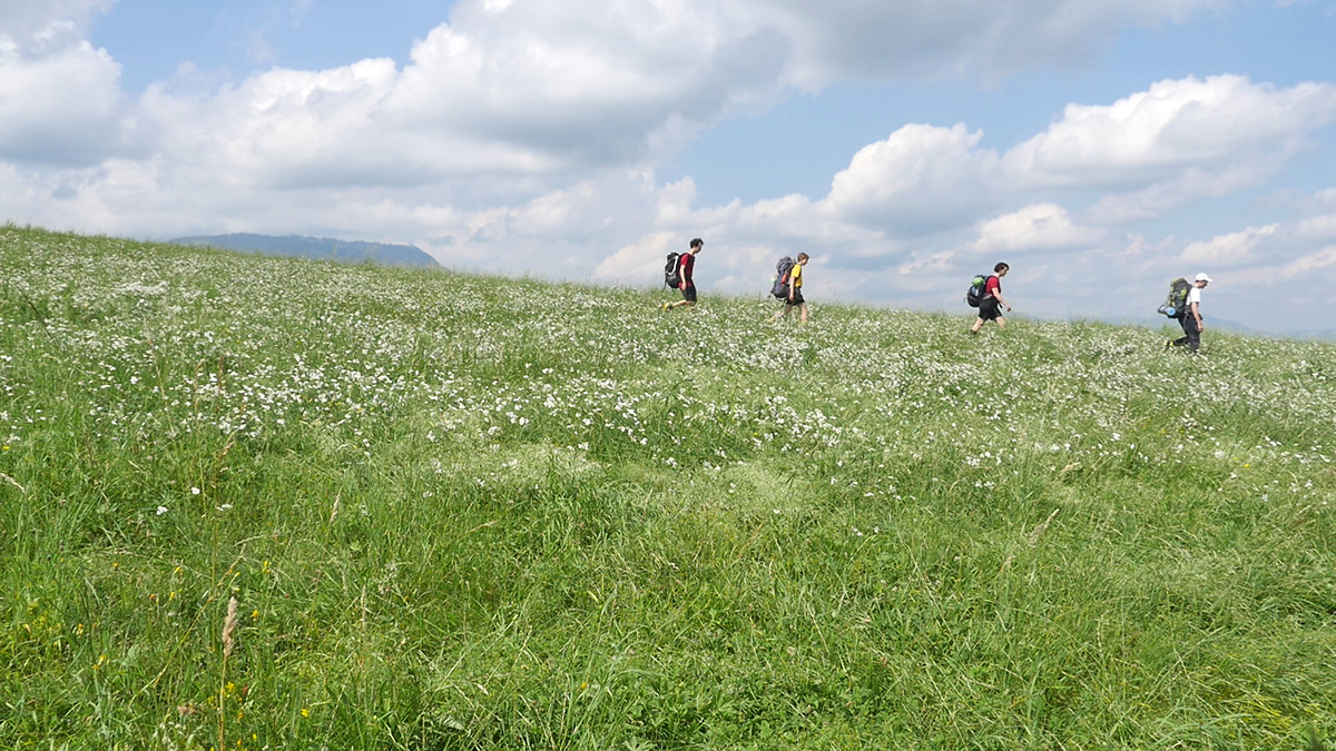 Grazrand: über die Wiese mit Schöcklblick