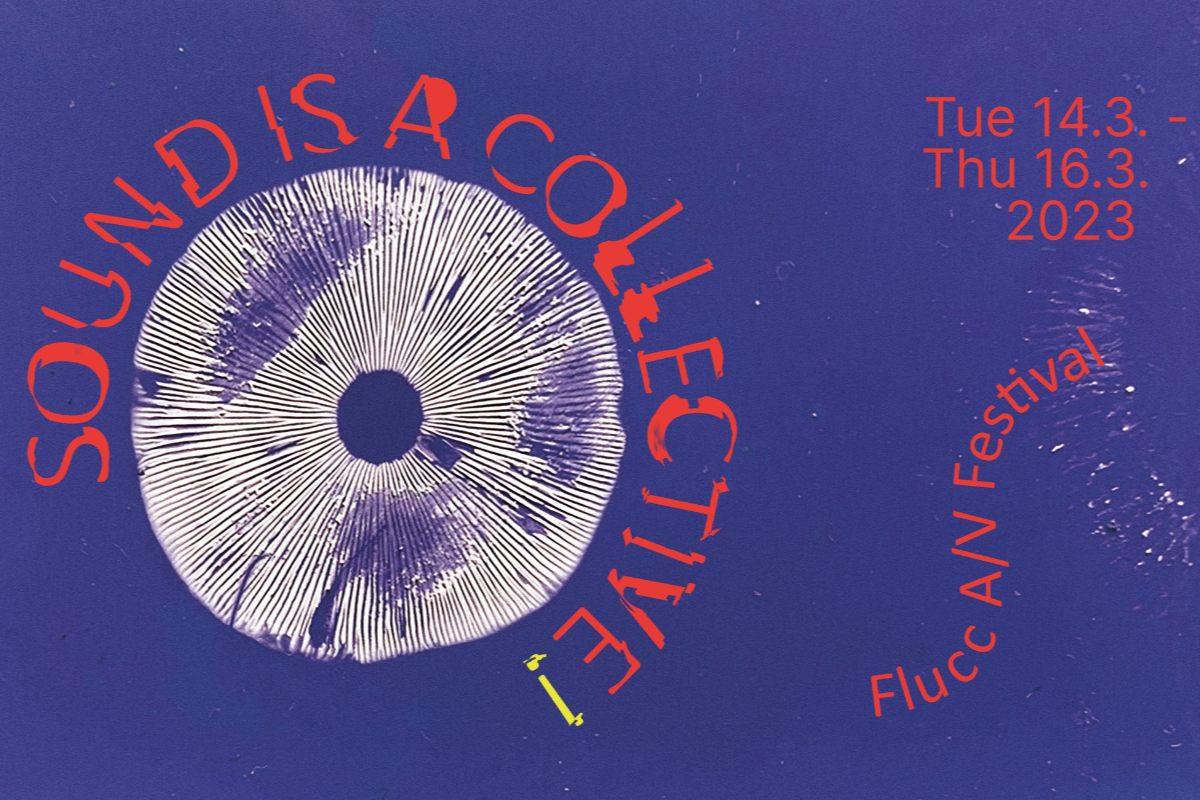 Sound is a Collective! Flucc A/V Festival, Artwork: by Alexandra Berlinger