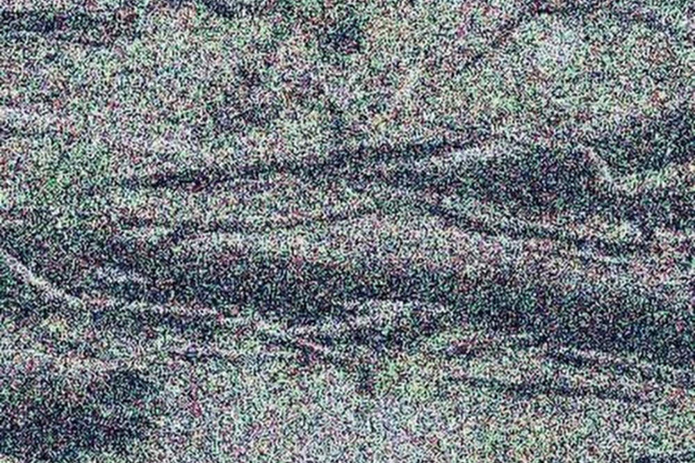 Wetland - Katrin Euller, Adina Camhy